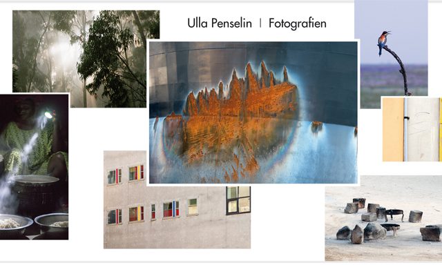 FAVORITES  - Fotografien von Ulla Penselin