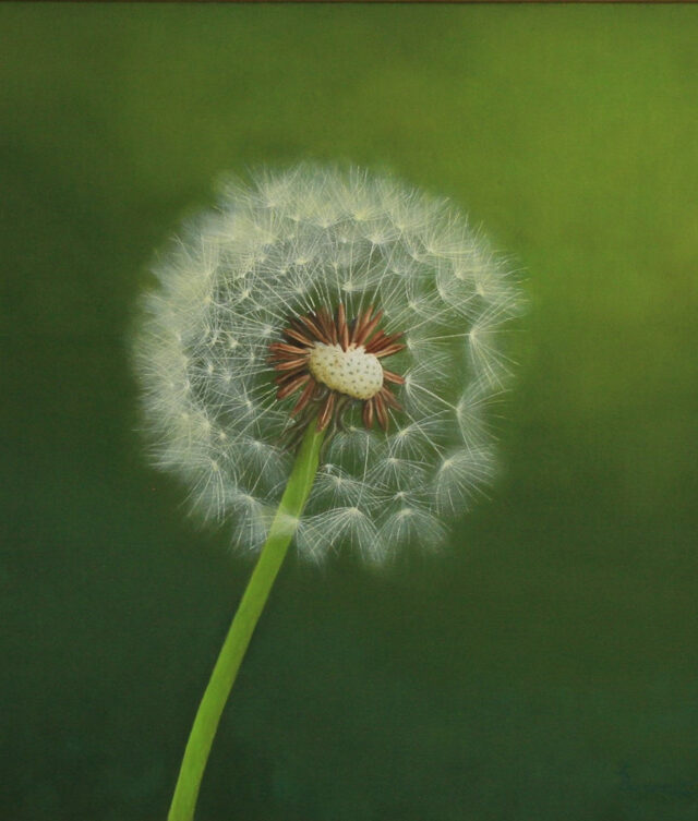 Karin Burandt - Pusteblume - Ölmalerei