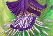 Aktuell: Anne Spengemann