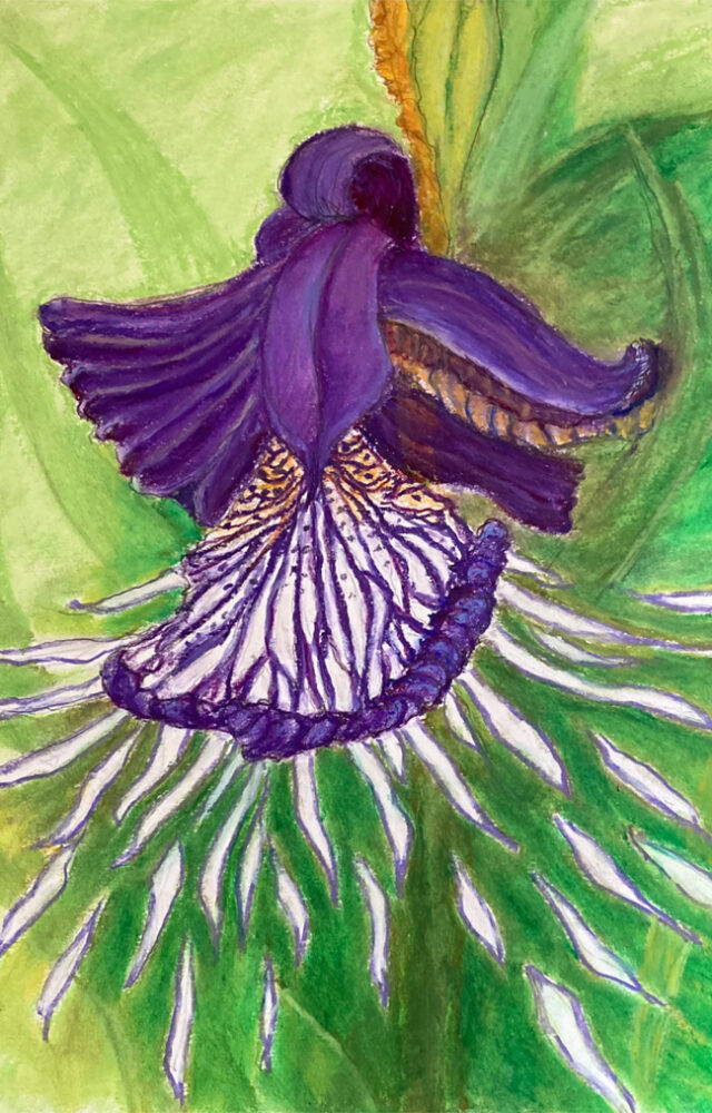 Anne Spengemann - auf SICHT - Malerei und Zeichnung